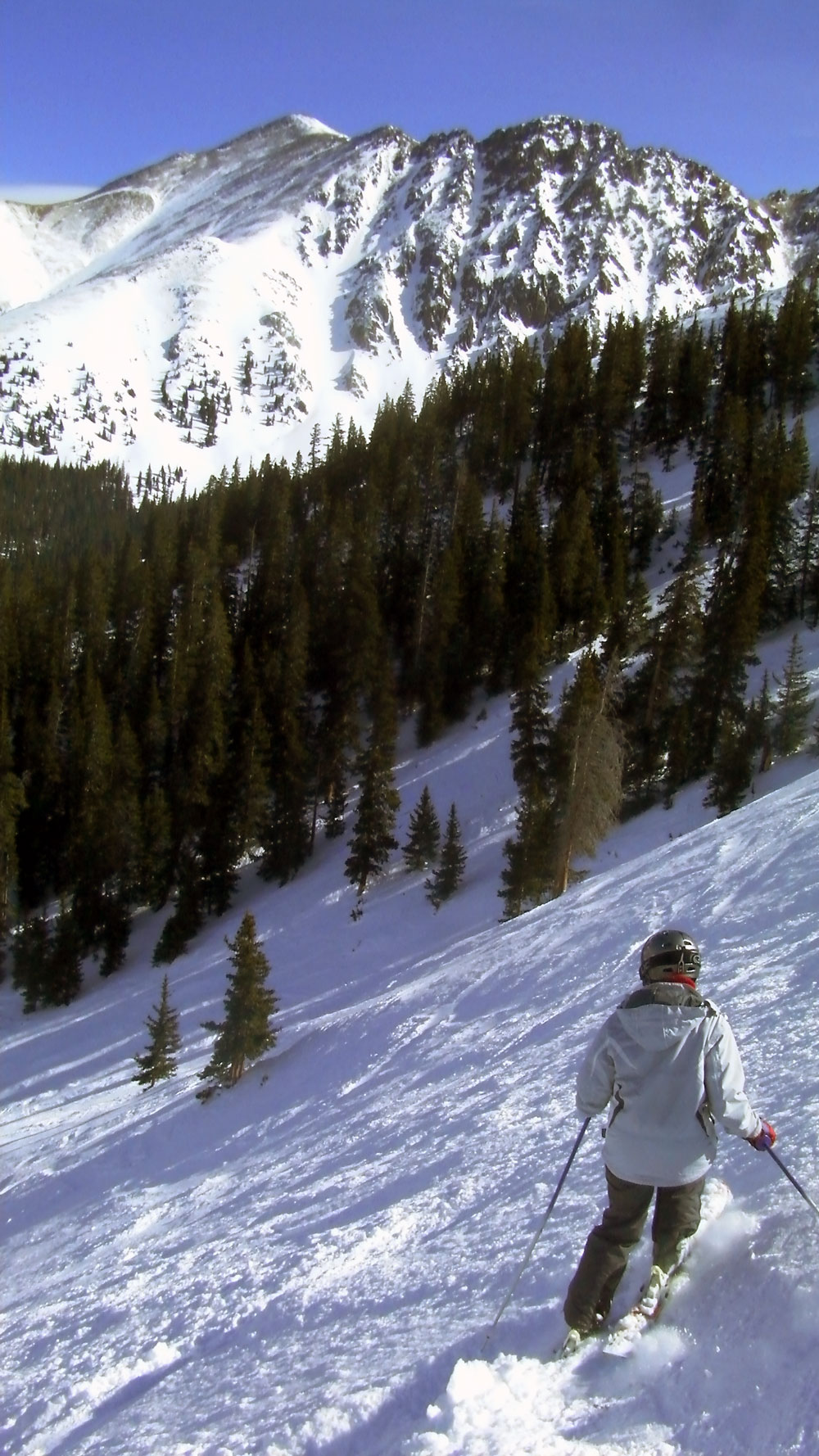 shaz-basin-2