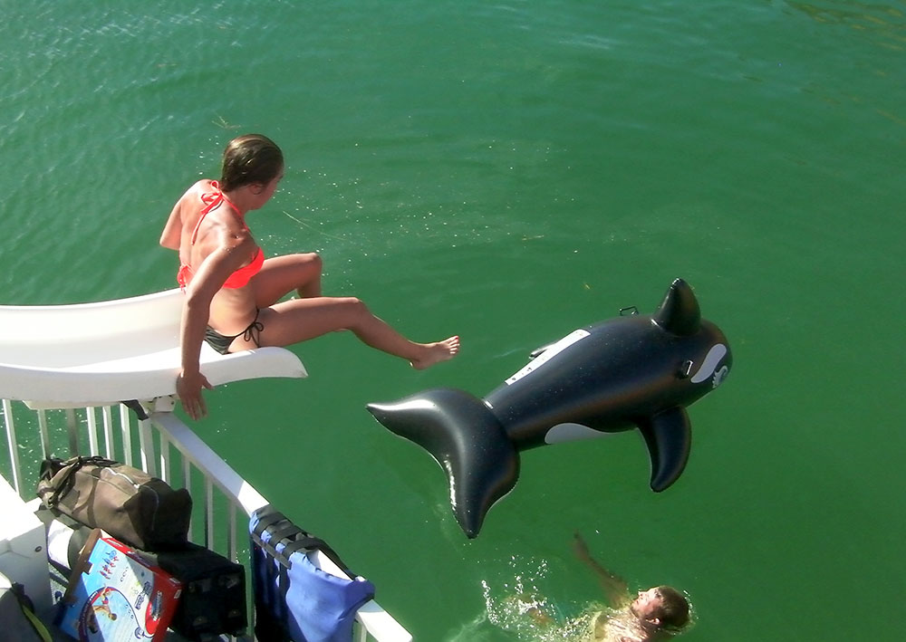 teawhaleriding